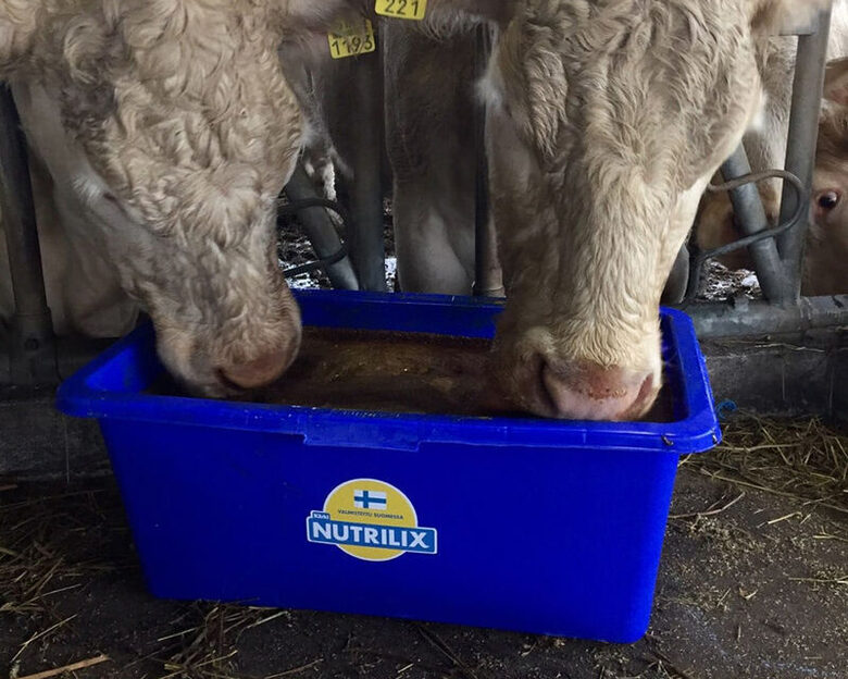 NUTRILIX BEEF CATTLE laizāma papildbarība liellopiem